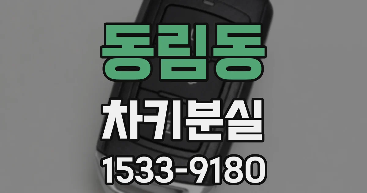 동림동 차키분실