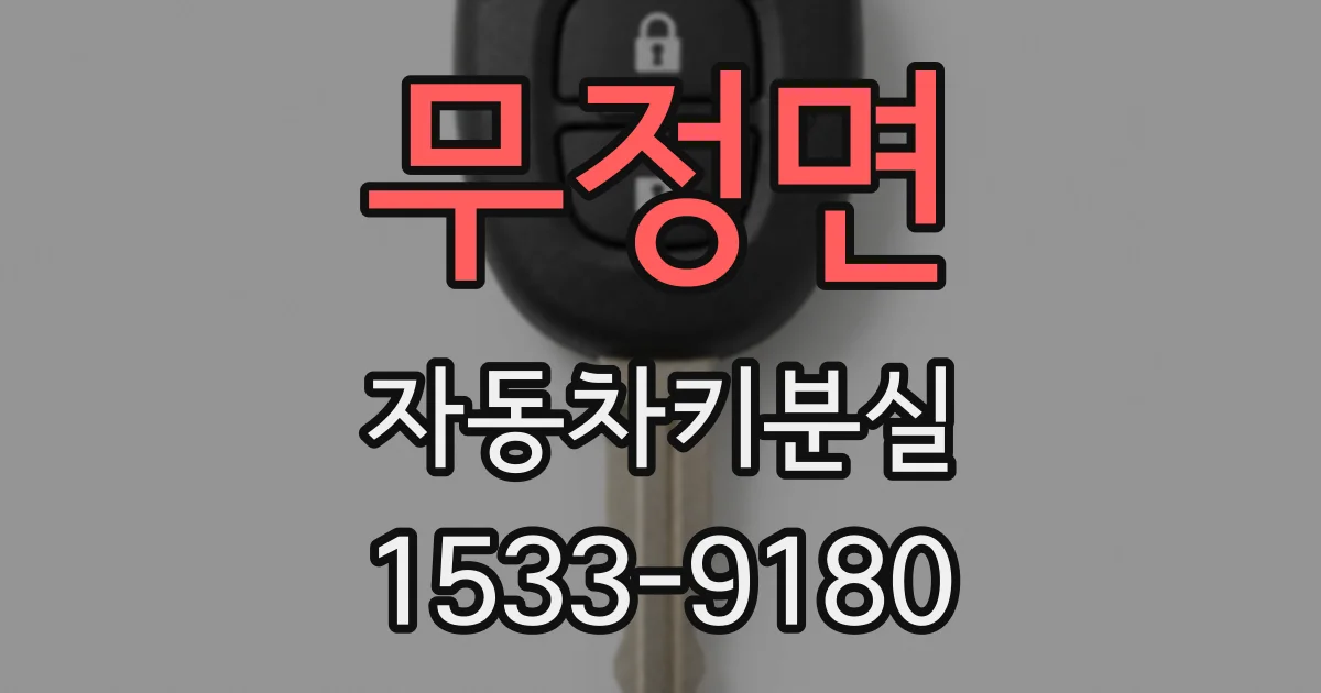 무정면 자동차키분실