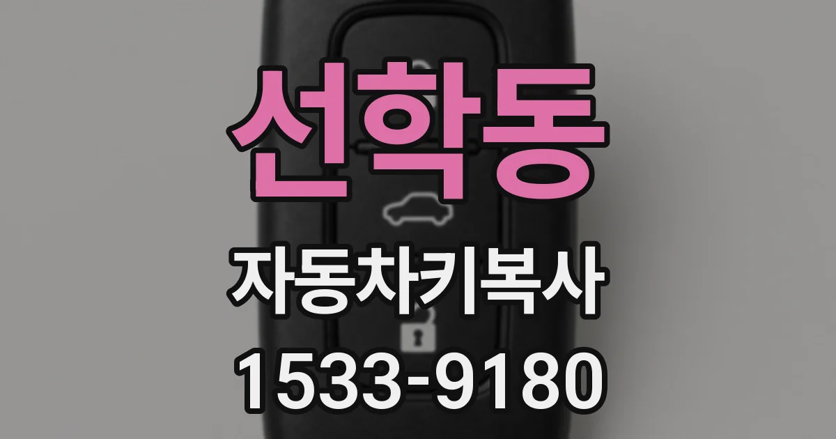 선학동 자동차키복사