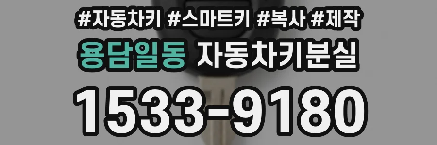 용담일동 자동차키분실