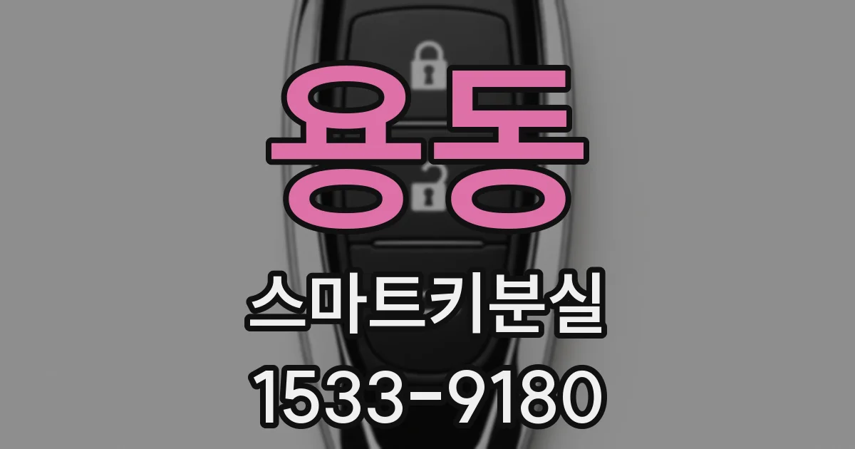 용동 스마트키분실