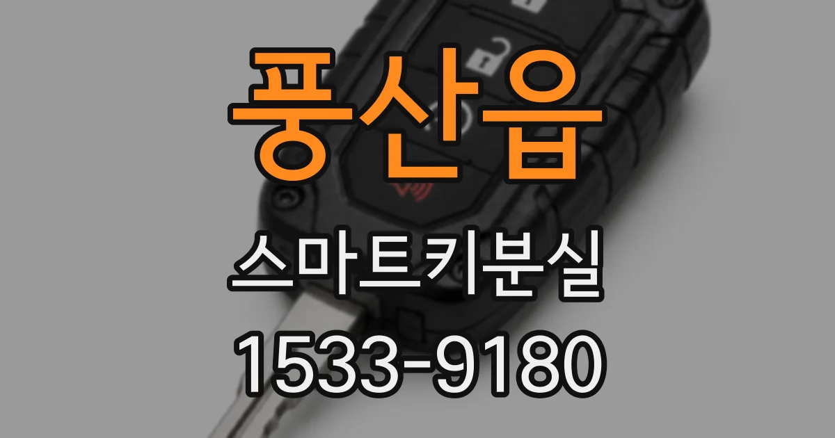 풍산읍 스마트키분실