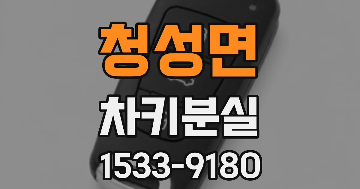 청성면 차키분실