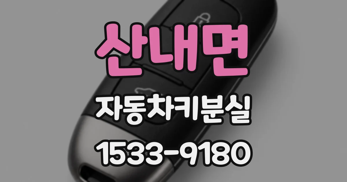산내면 자동차키분실