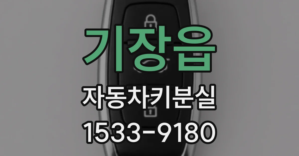 기장읍 자동차키분실
