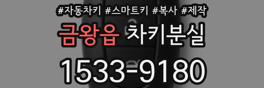 금왕읍 차키분실