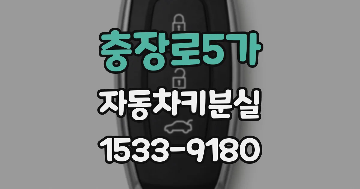 충장로5가 자동차키분실