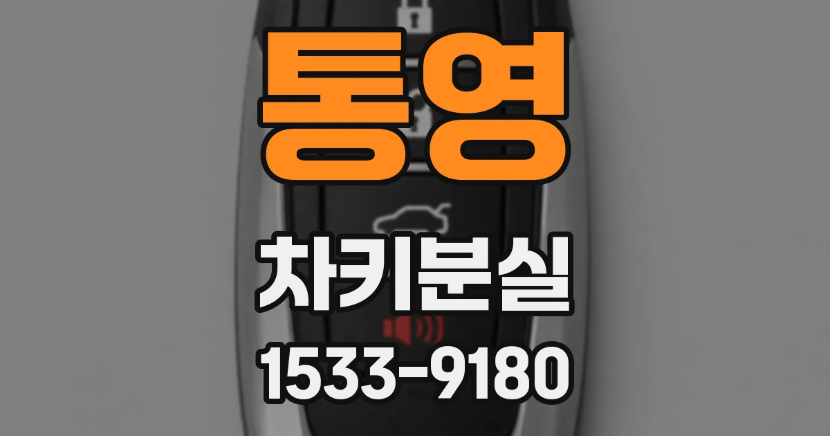 통영 차키분실