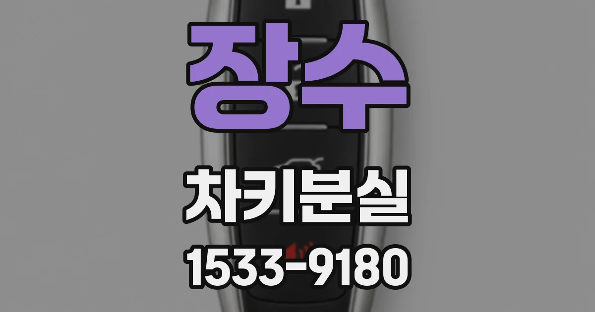 장수 차키분실
