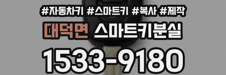 대덕면 스마트키분실