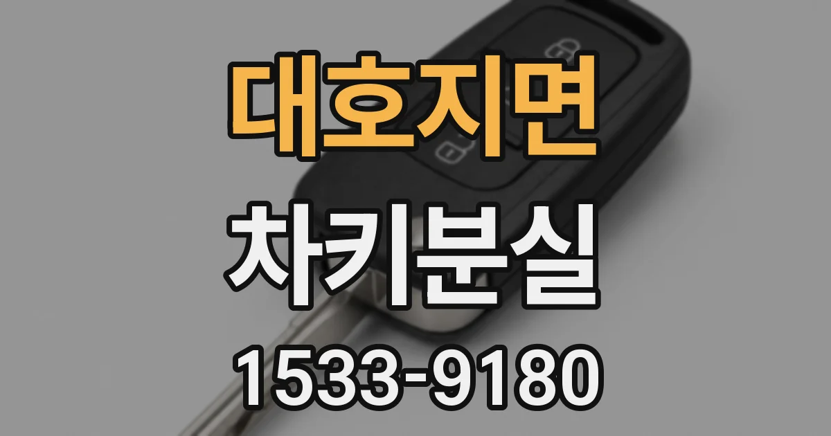 대호지면 차키분실