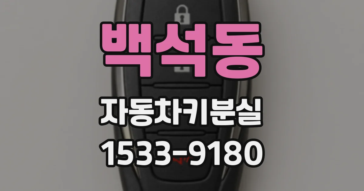 백석동 자동차키분실