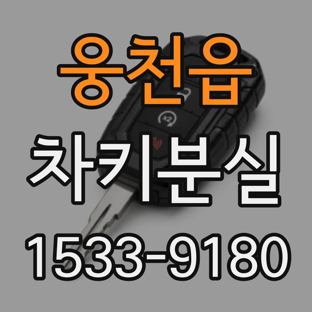 웅천읍 차키분실
