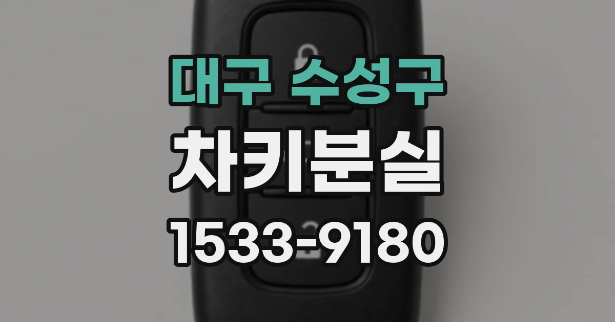 대구 수성구 차키분실