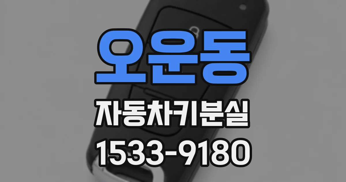 오운동 자동차키분실