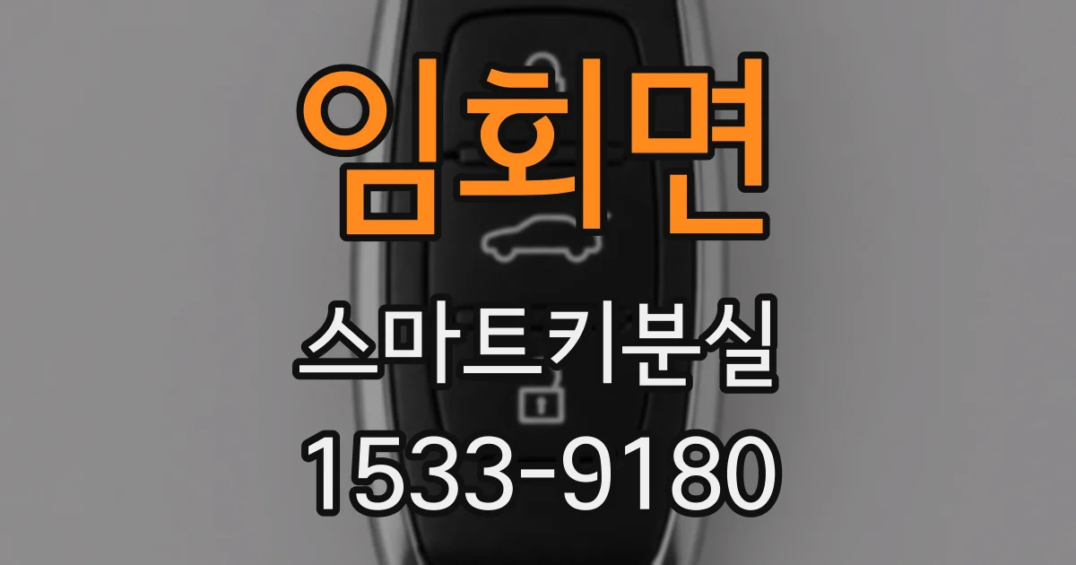 임회면 스마트키분실
