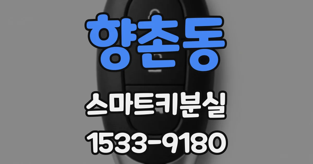 향촌동 스마트키분실