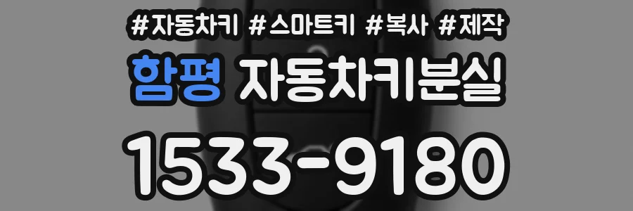 함평 자동차키분실