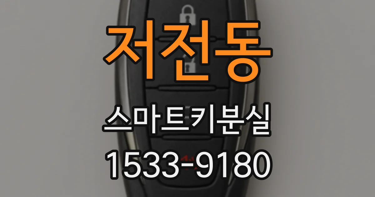 저전동 스마트키분실