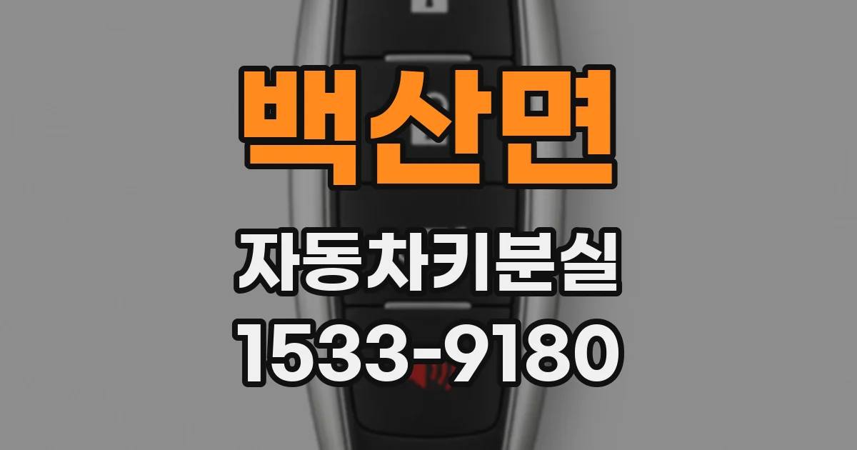 백산면 자동차키분실