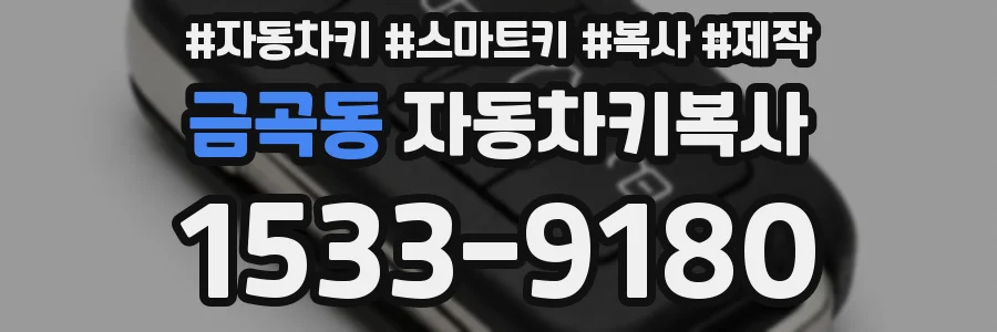 금곡동 자동차키복사