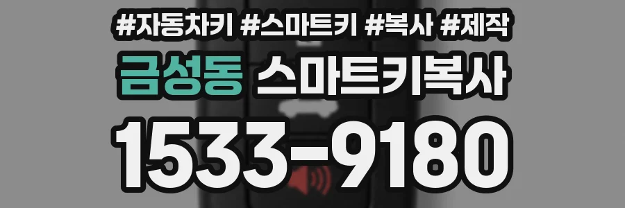 금성동 스마트키복사