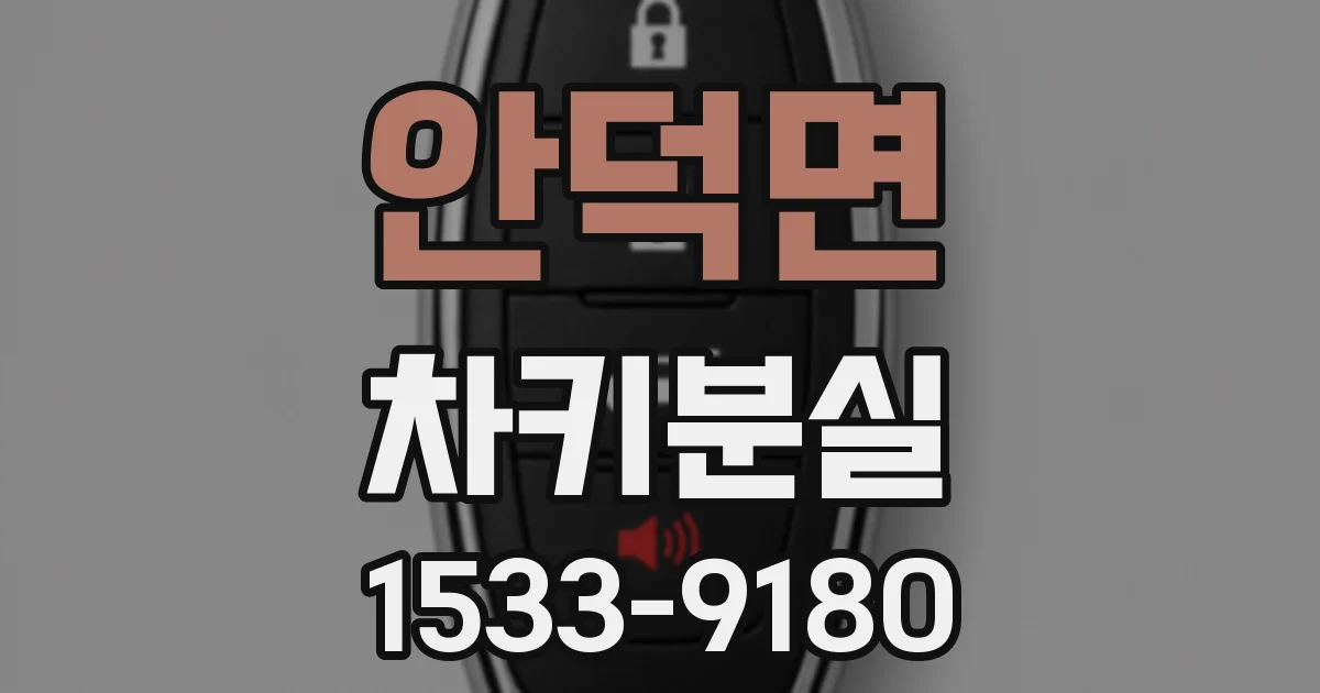 안덕면 차키분실