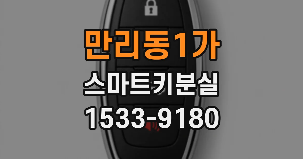 만리동1가 스마트키분실