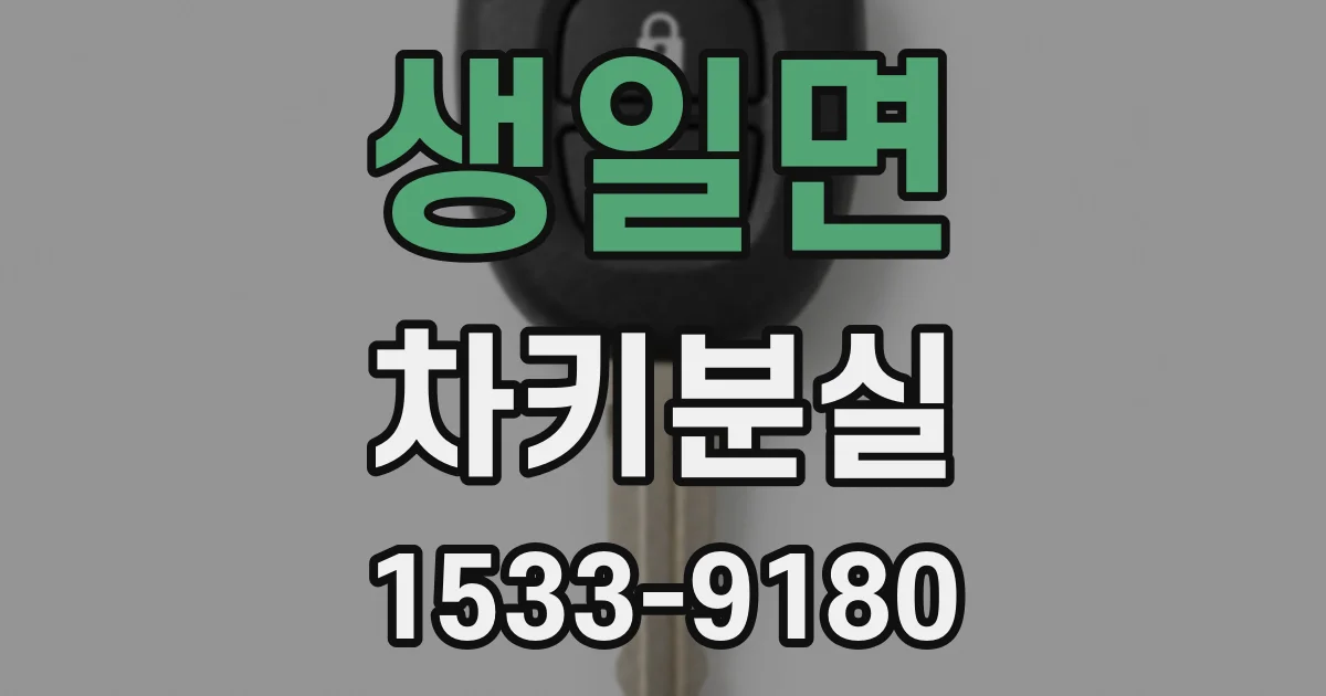 생일면 차키분실