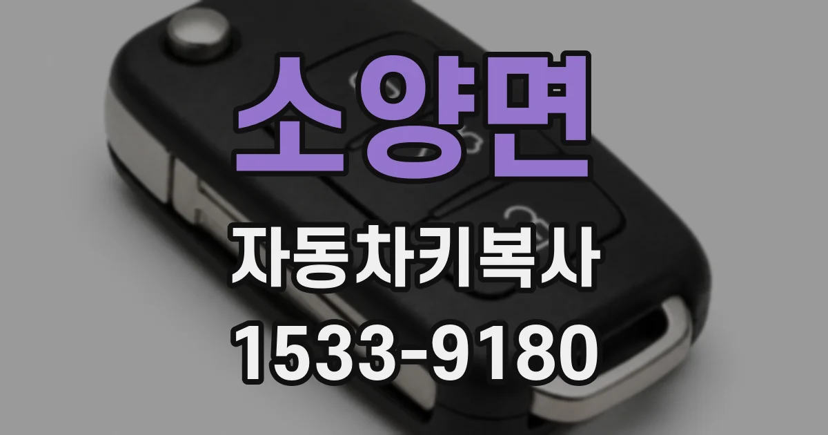 소양면 자동차키복사