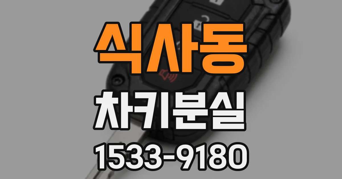 식사동 차키분실