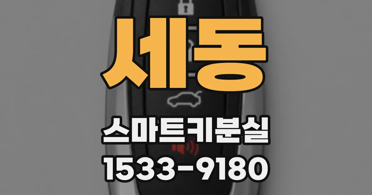 세동 스마트키분실