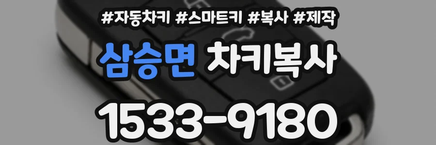 삼승면 차키복사