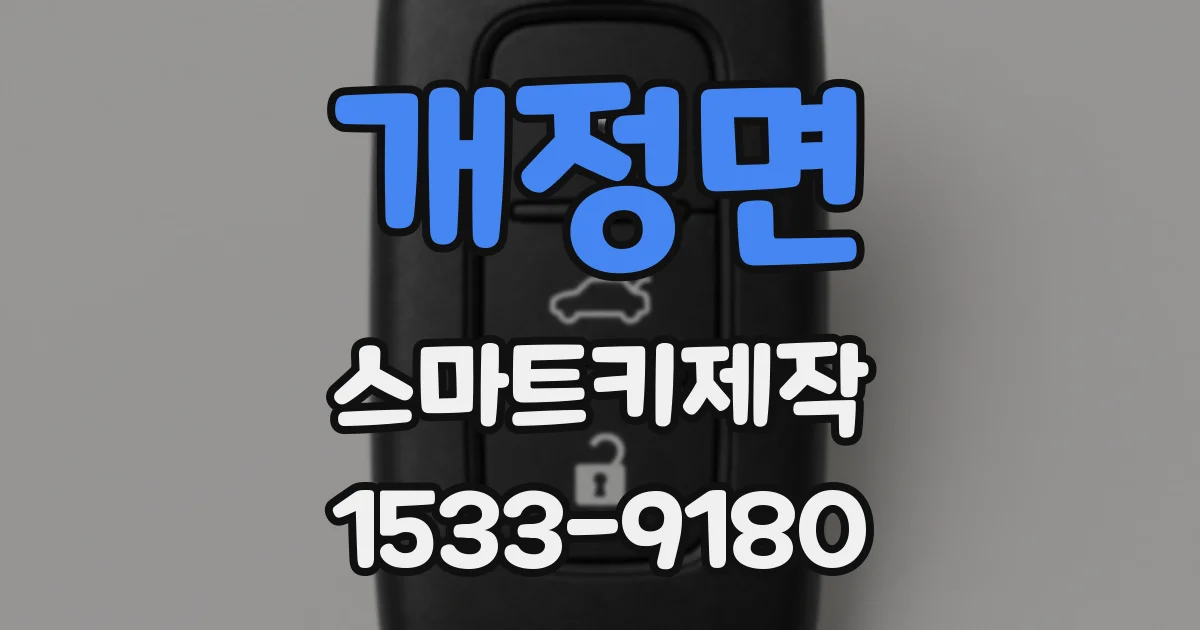 개정면 스마트키제작