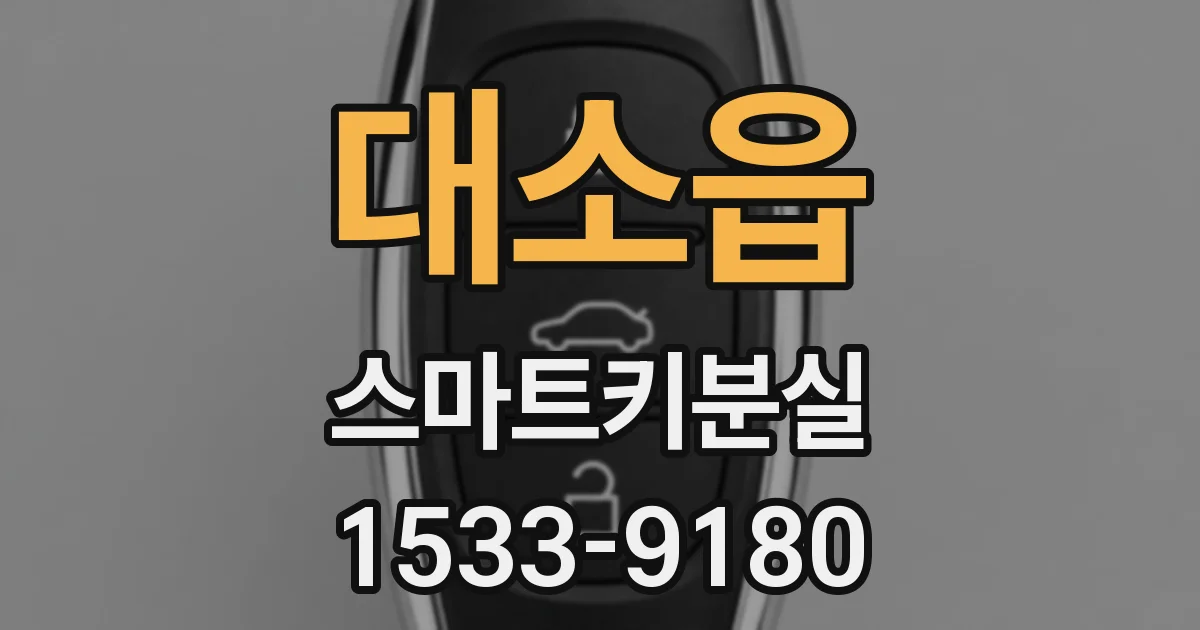 대소읍 스마트키분실