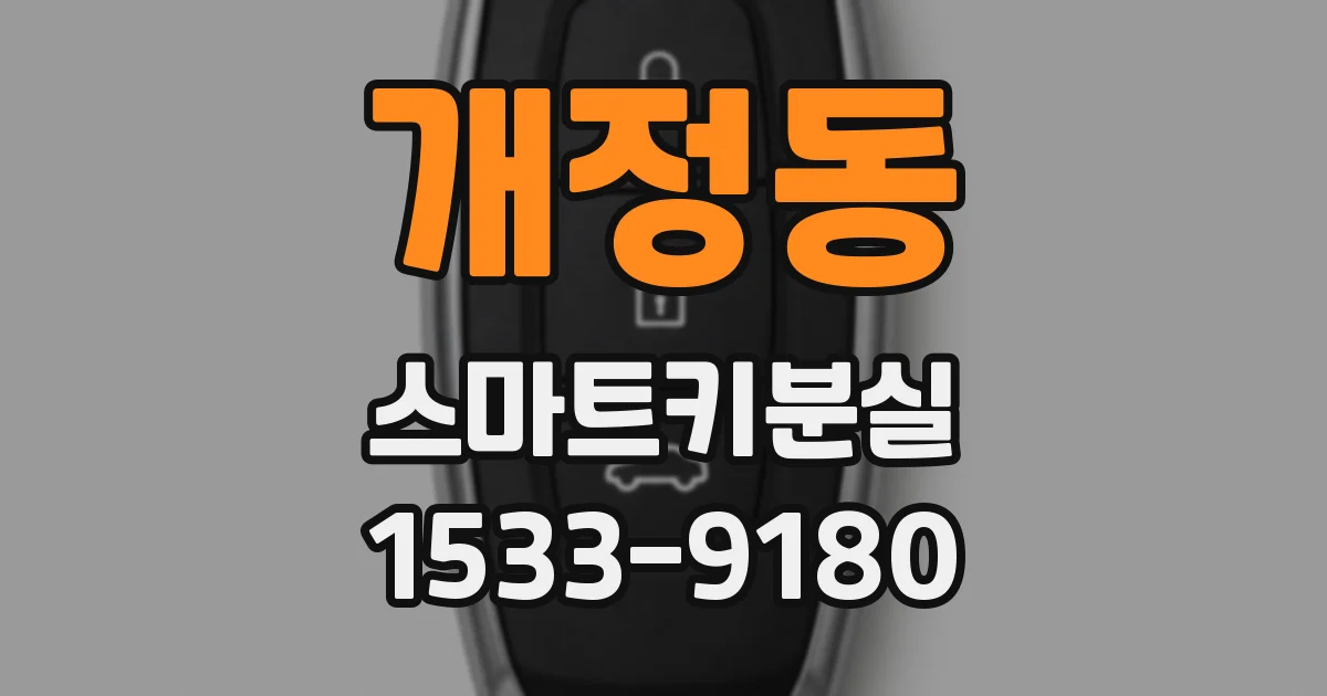 개정동 스마트키분실