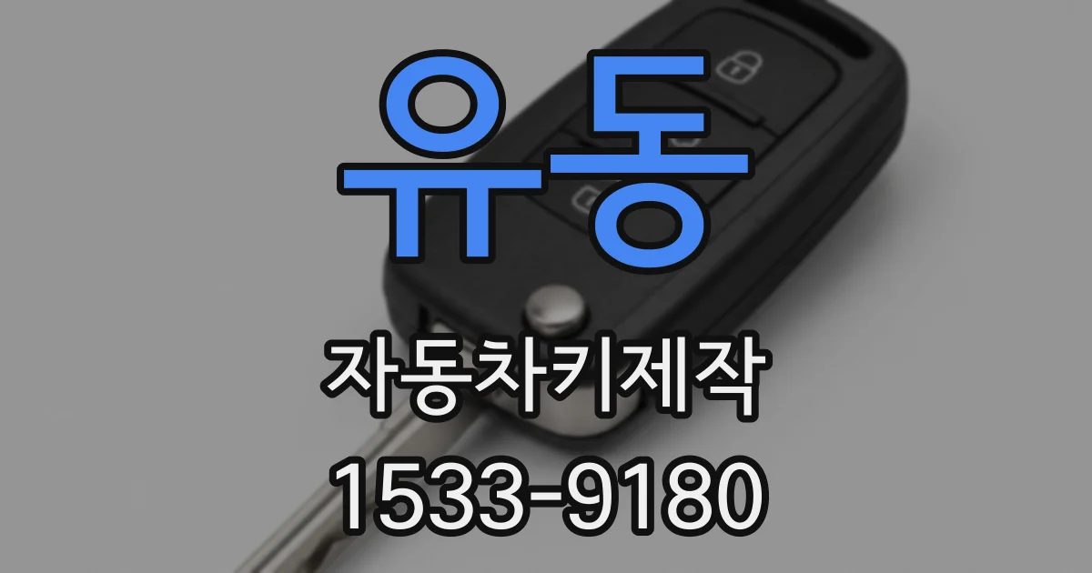 유동 자동차키제작