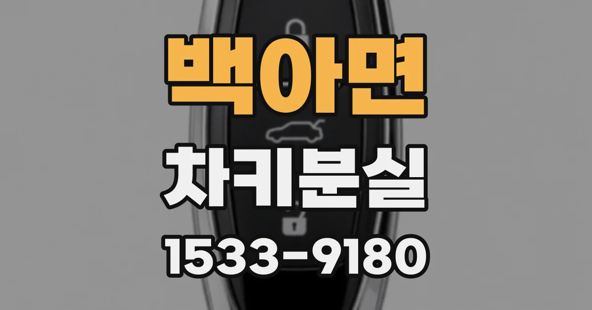 백아면 차키분실