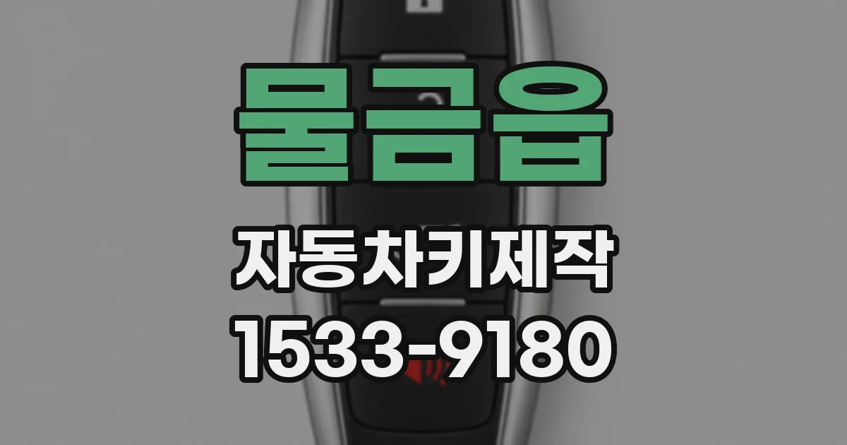물금읍 자동차키제작