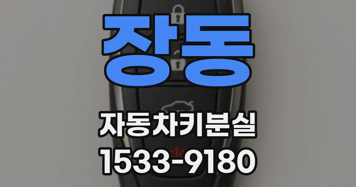 장동 자동차키분실