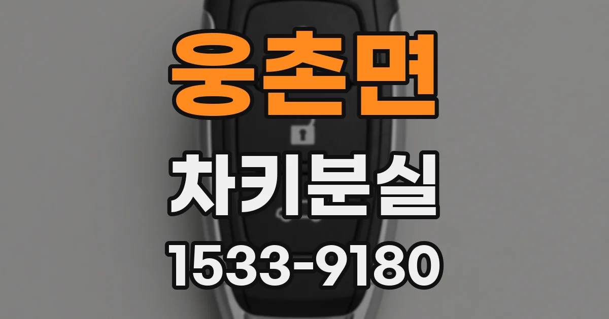 웅촌면 차키분실