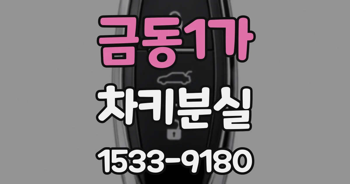 금동1가 차키분실