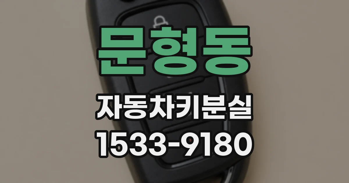 문형동 자동차키분실