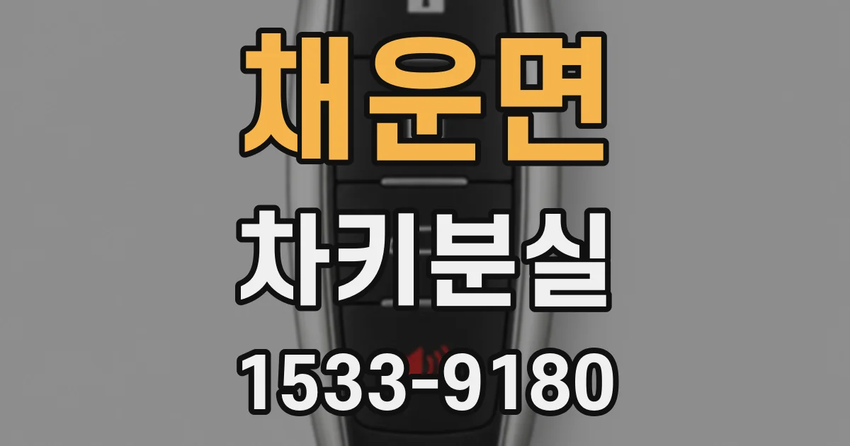 채운면 차키분실