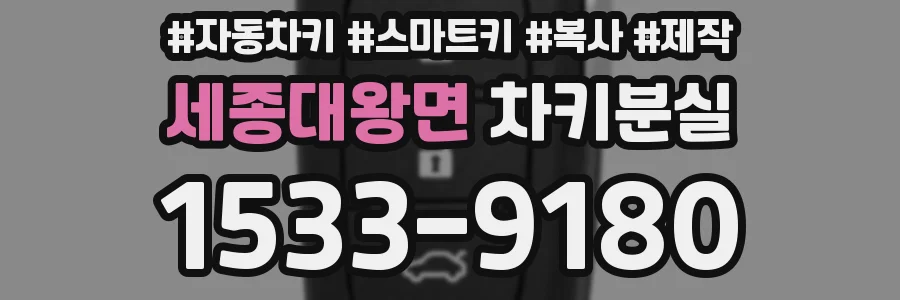 세종대왕면 차키분실