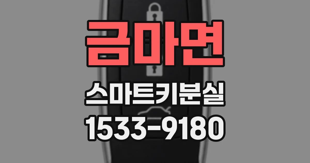 금마면 스마트키분실