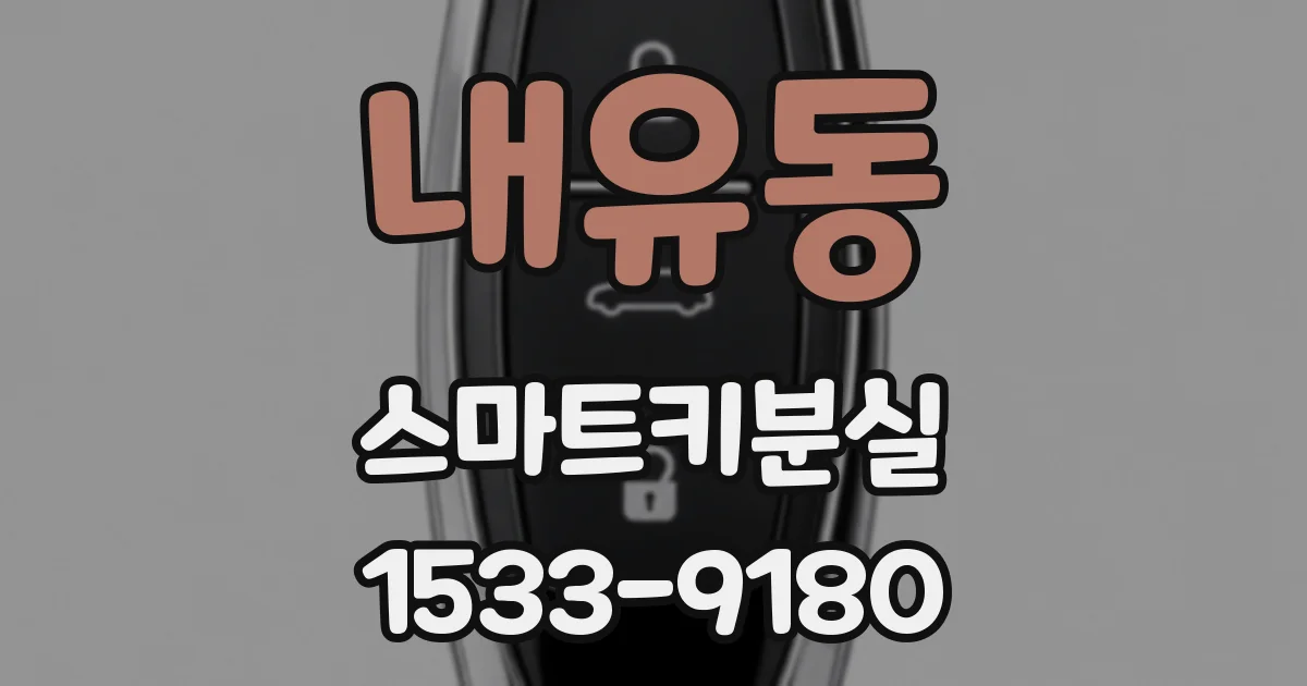 내유동 스마트키분실