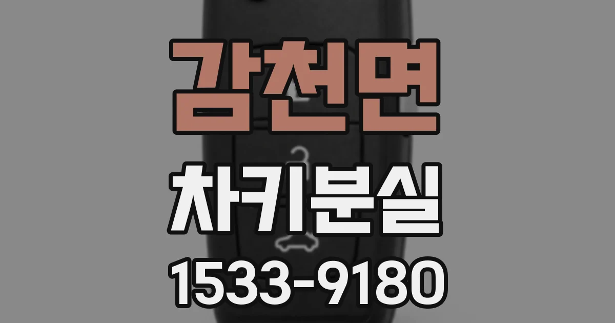 감천면 차키분실