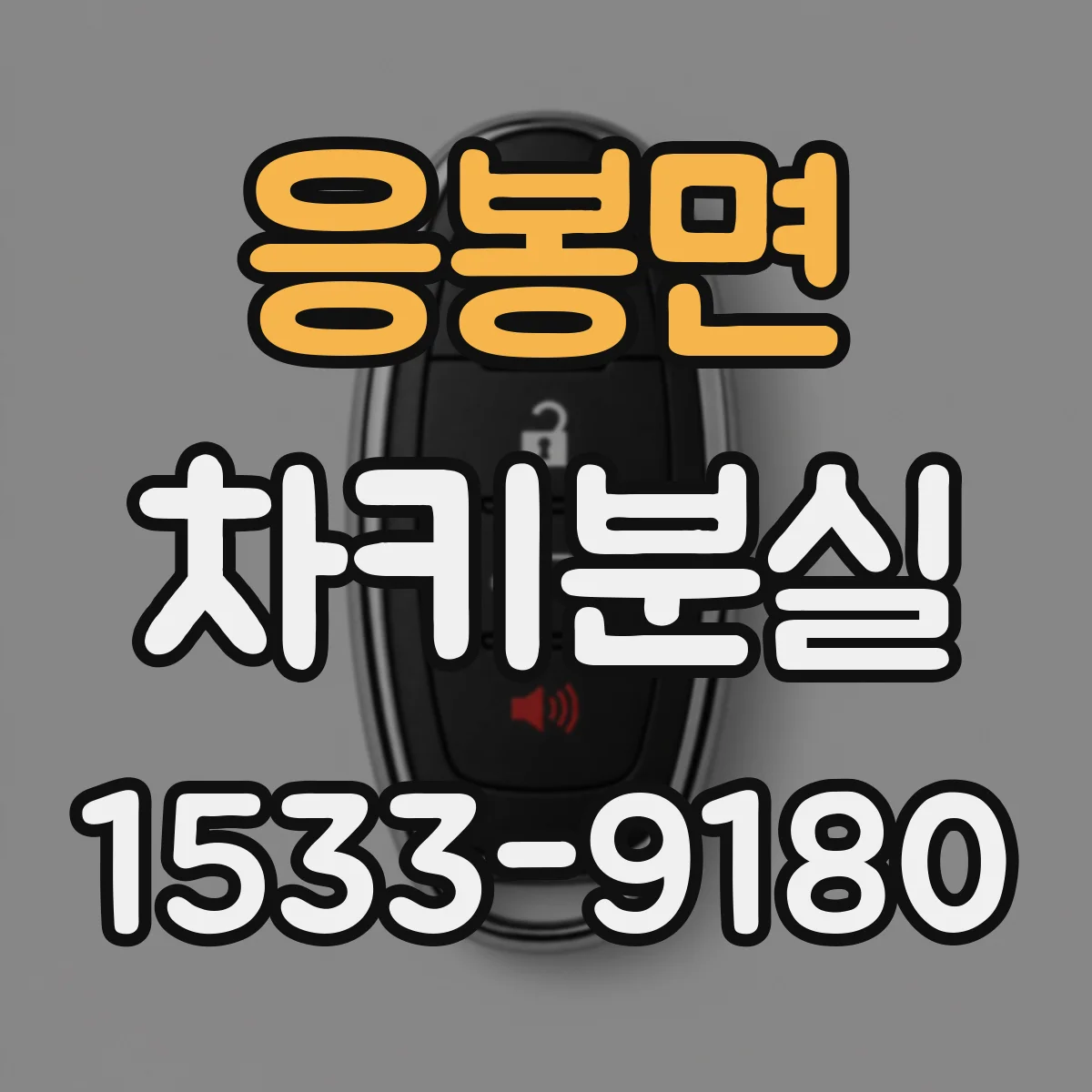 응봉면 차키분실