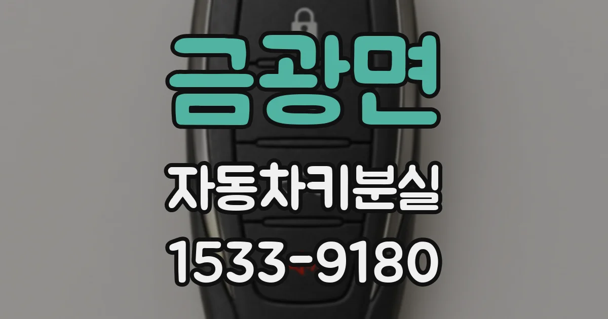금광면 자동차키분실